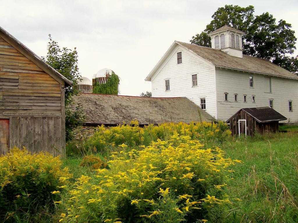 Saratoga Farmstead B&B サラトガスプリング エクステリア 写真