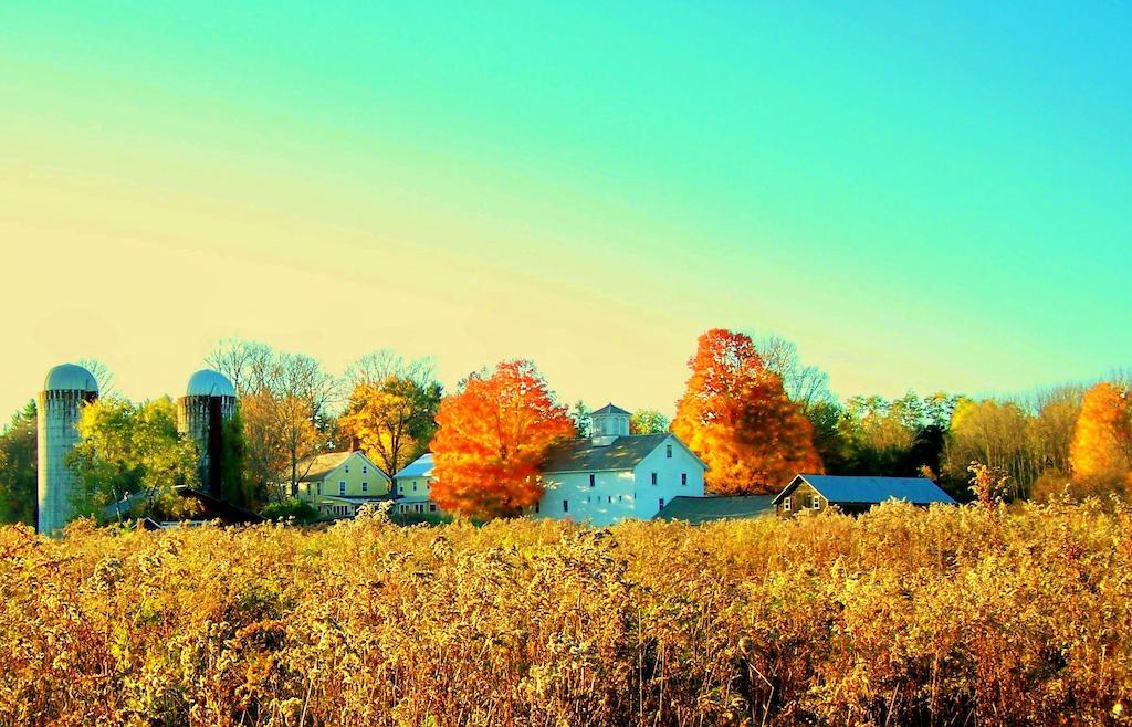 Saratoga Farmstead B&B サラトガスプリング エクステリア 写真