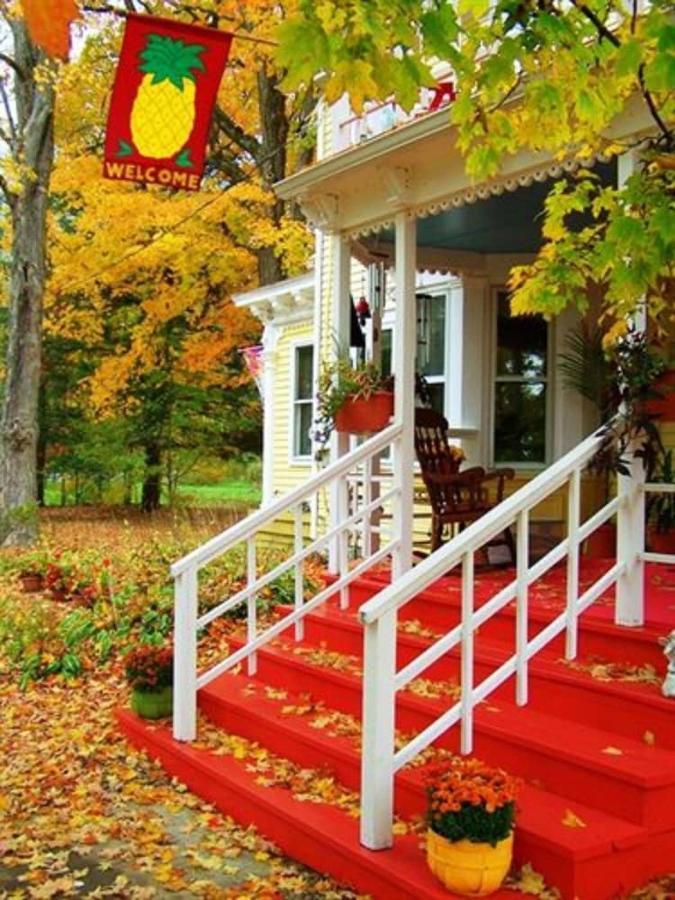 Saratoga Farmstead B&B サラトガスプリング エクステリア 写真