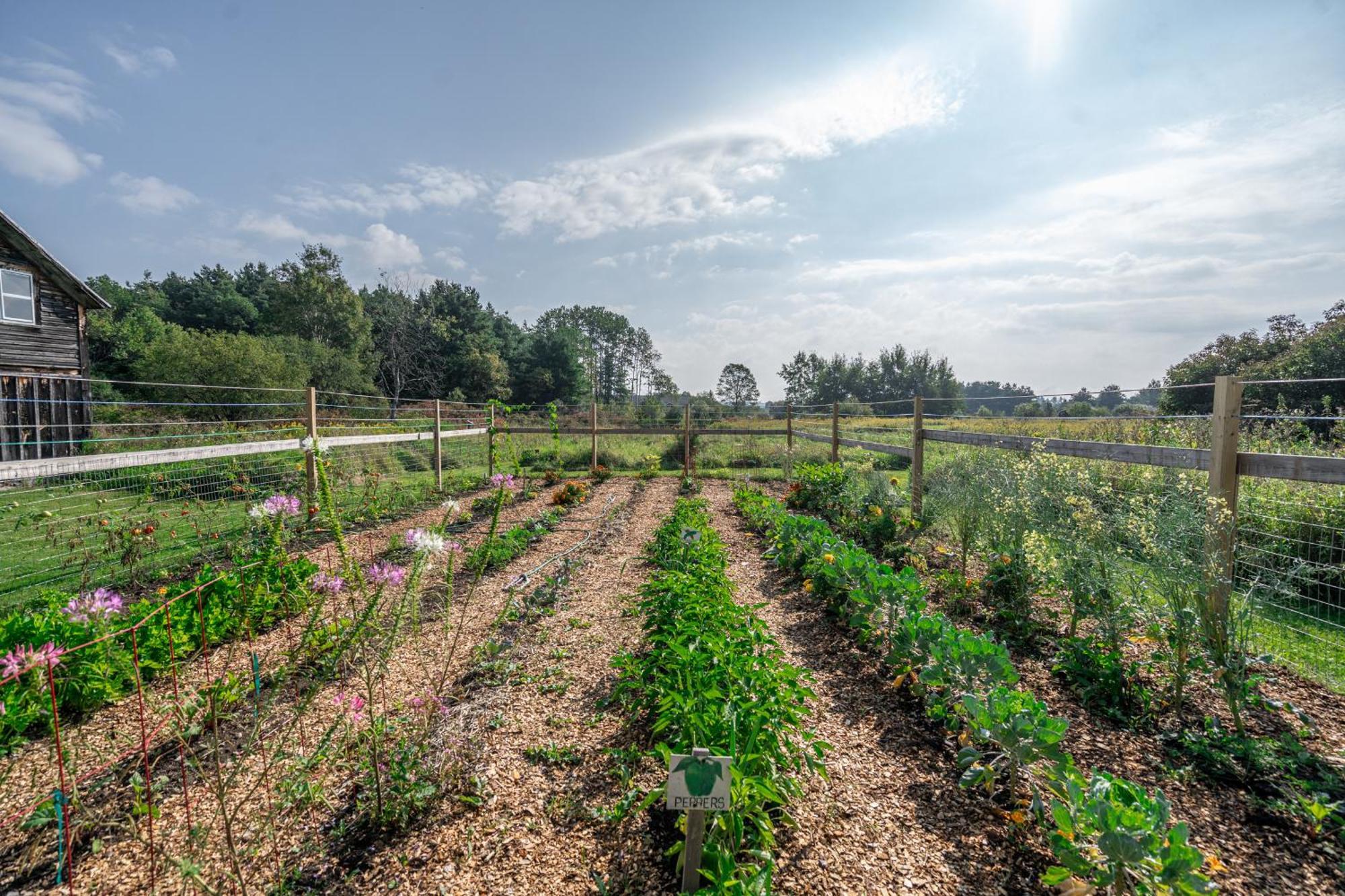 Saratoga Farmstead B&B サラトガスプリング エクステリア 写真