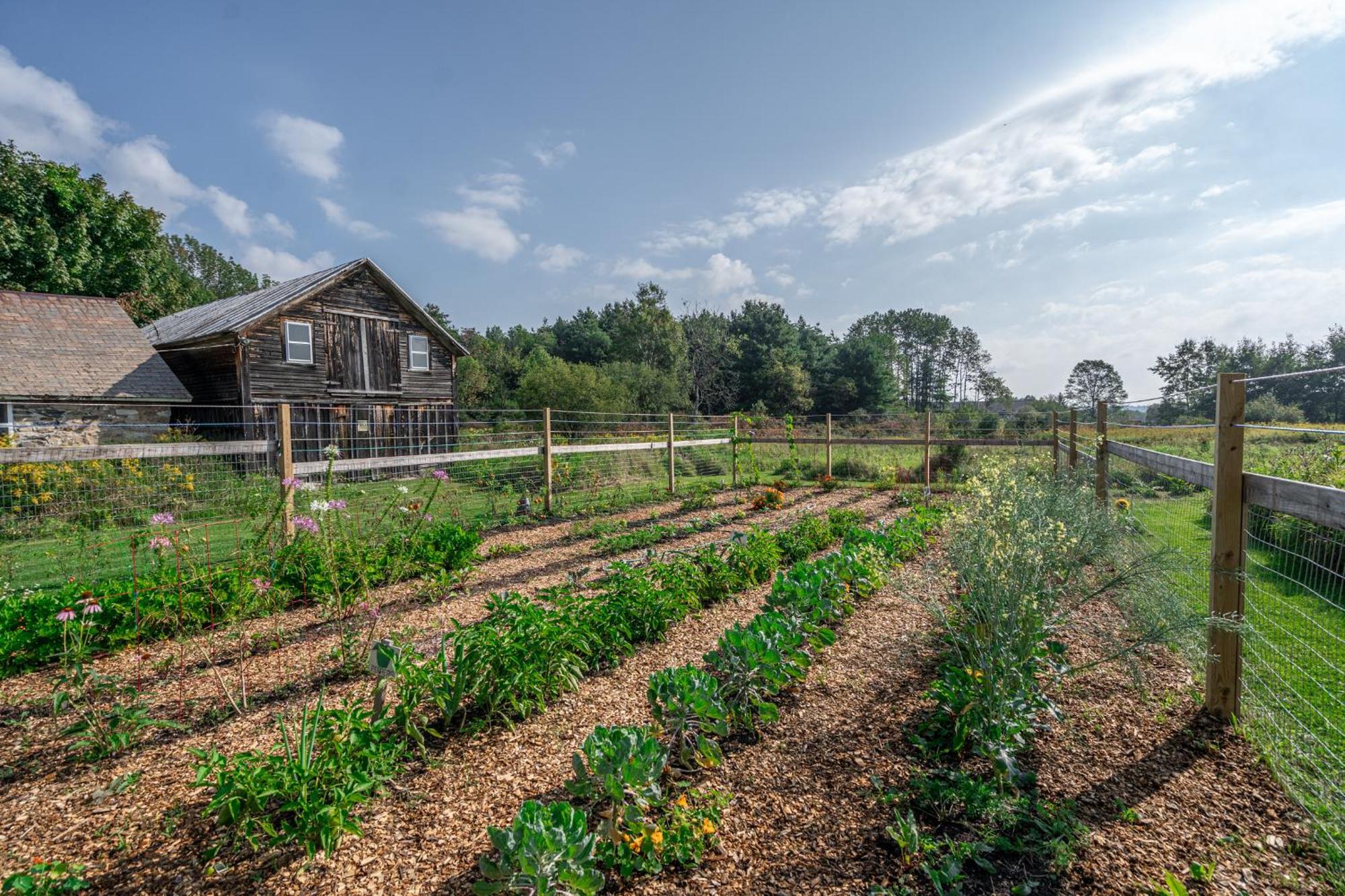 Saratoga Farmstead B&B サラトガスプリング エクステリア 写真