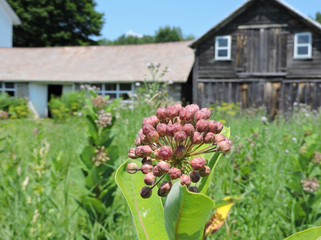 Saratoga Farmstead B&B サラトガスプリング エクステリア 写真